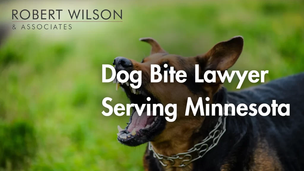 Dog Bite Lawyer Serving Minnesota