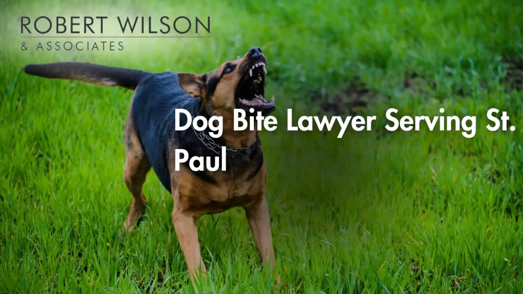Dog Bite Lawyer Serving St. Paul